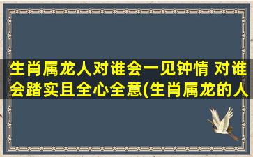 生肖属龙人对谁会一见钟情 对谁会踏实且全心全意(生肖属龙的人一见钟情，踏实全心全意为中心的对象)